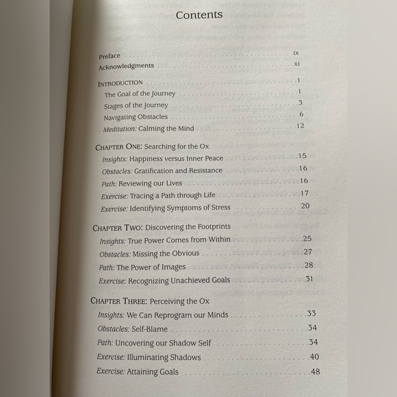 Journey to the Center A Meditation Workbook by Mathew Flickstein. Unused. - Picture 3 of 9